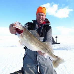 Meet your Posher, Jeff